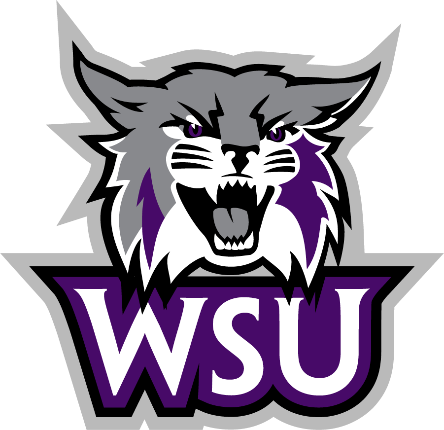 Weber State Wildcats 2012-Pres Secondary Logo v6 diy DTF decal sticker